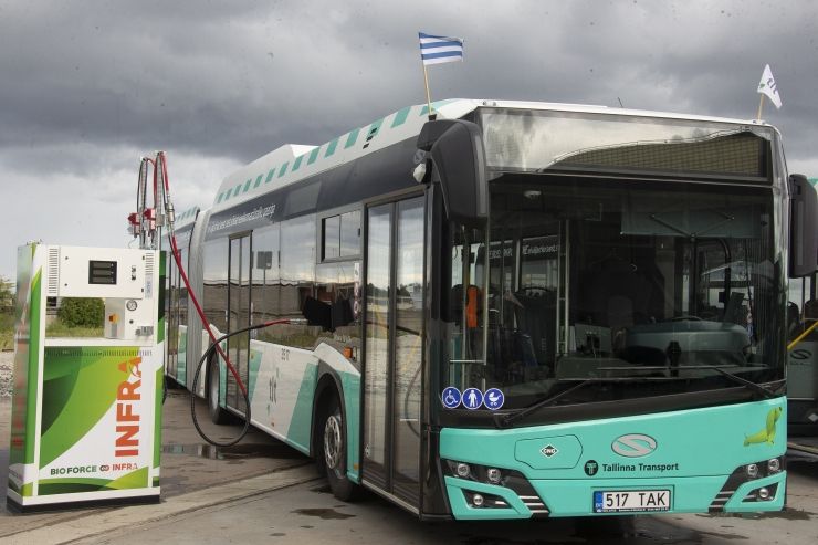 surugaasibuss Tallinnas